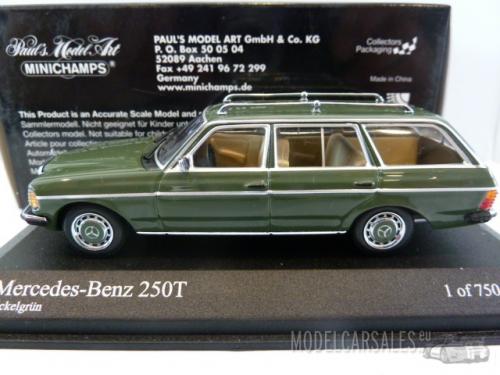 Mercedes-benz 250 T Break (w123)